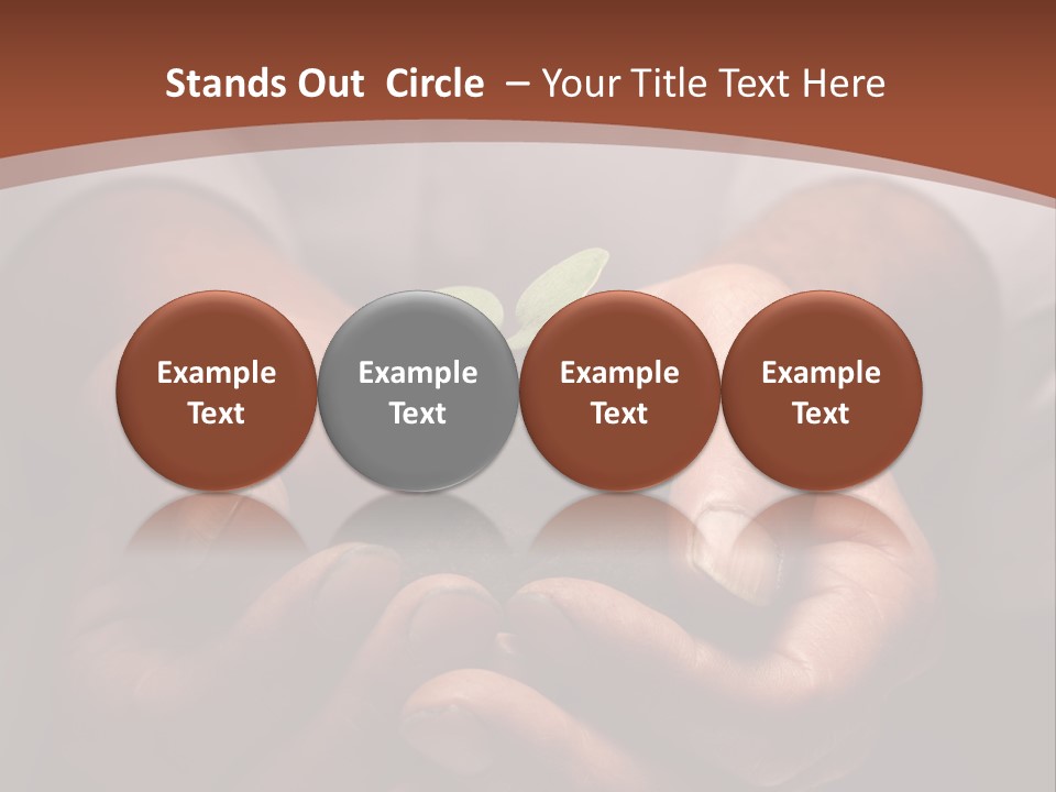 Spring Seedling Gardening PowerPoint Template