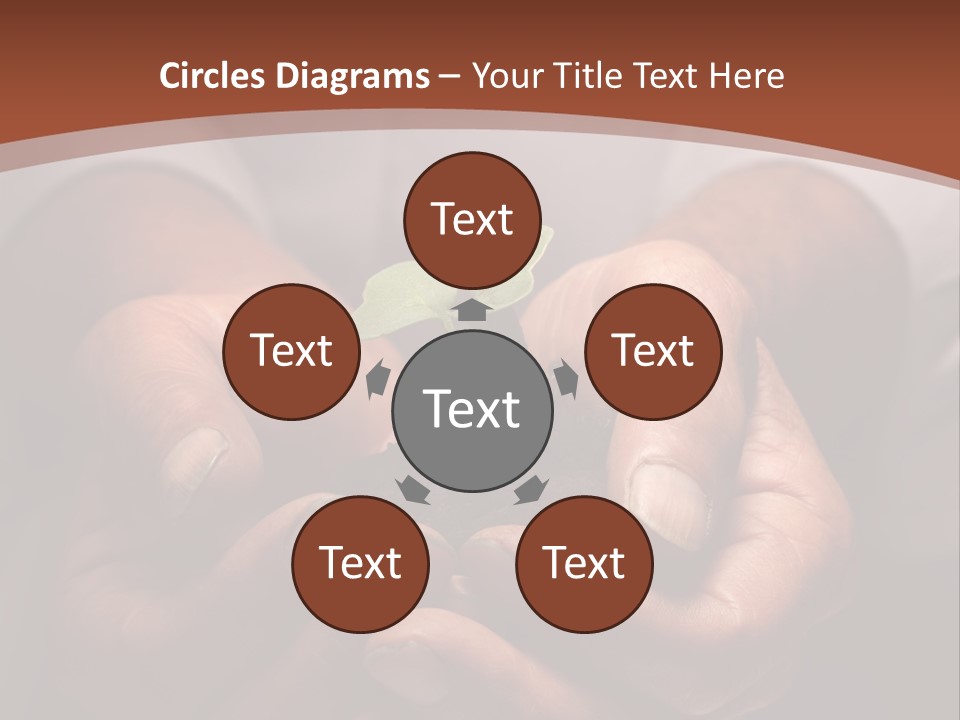 Spring Seedling Gardening PowerPoint Template