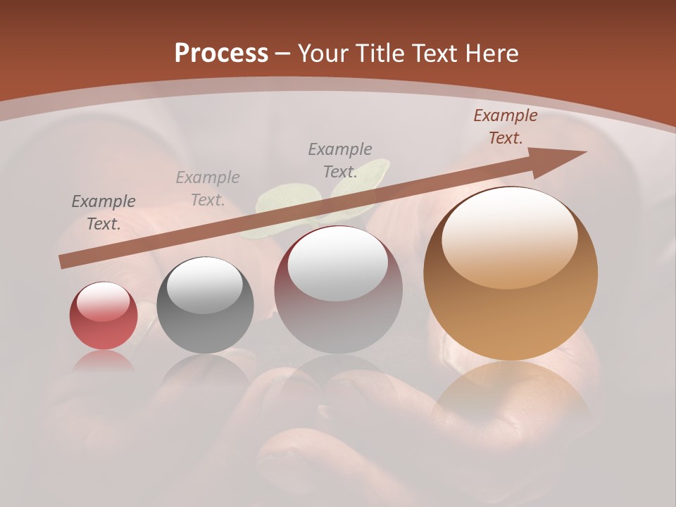 Spring Seedling Gardening PowerPoint Template