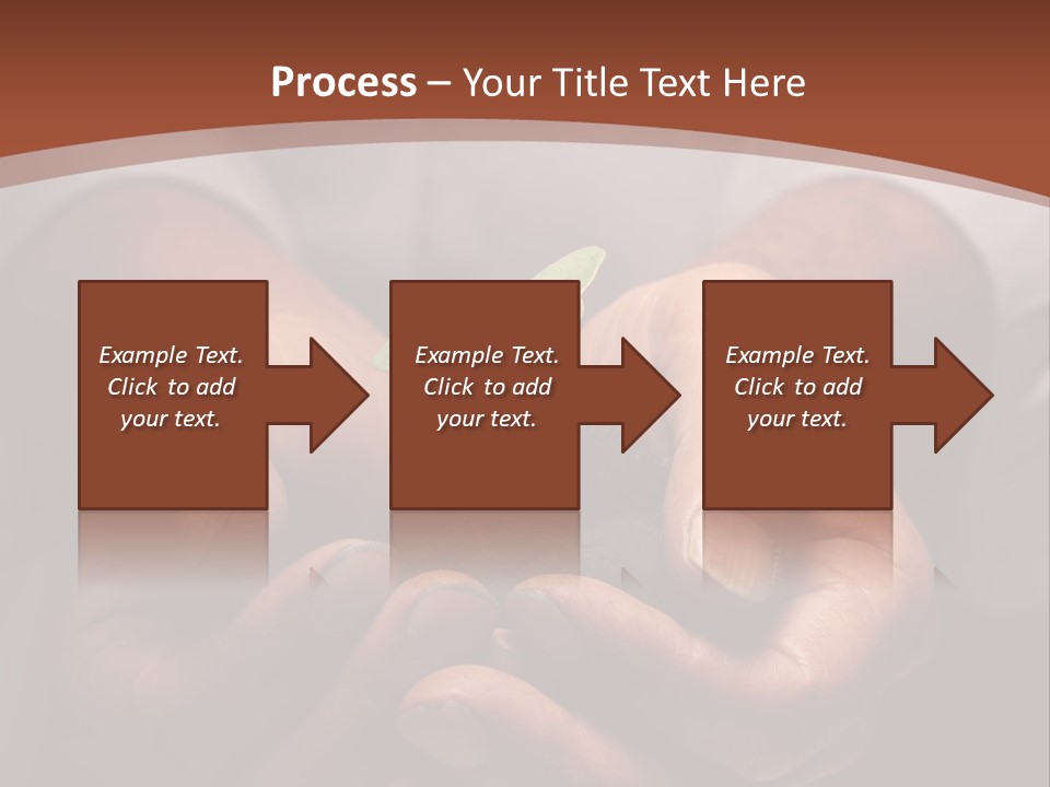 Spring Seedling Gardening PowerPoint Template