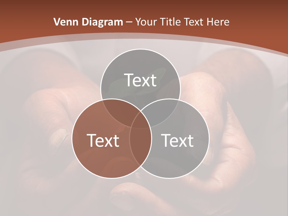 Spring Seedling Gardening PowerPoint Template