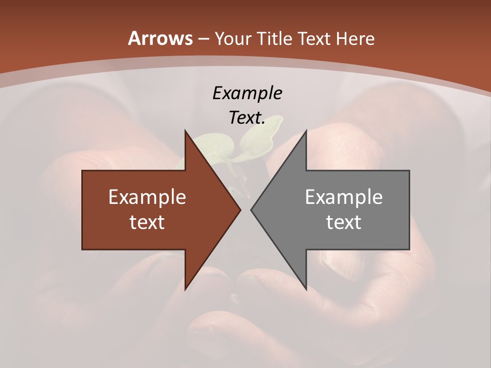 Spring Seedling Gardening PowerPoint Template