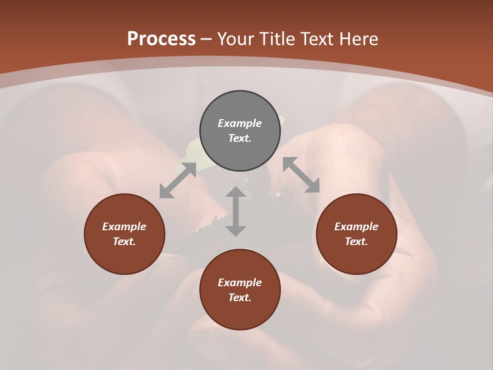 Spring Seedling Gardening PowerPoint Template