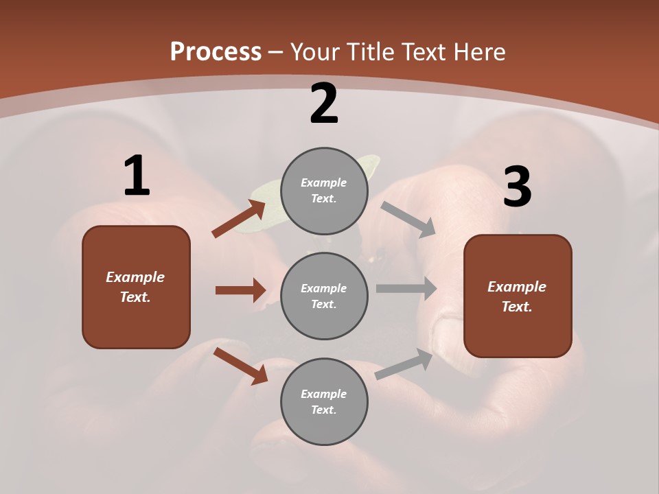 Spring Seedling Gardening PowerPoint Template