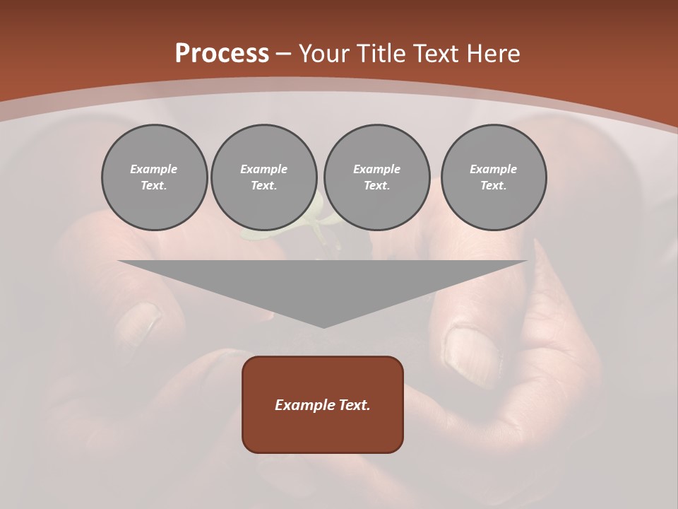 Spring Seedling Gardening PowerPoint Template