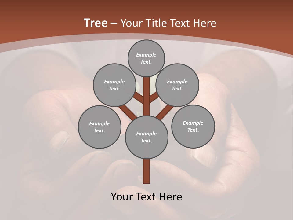 Spring Seedling Gardening PowerPoint Template