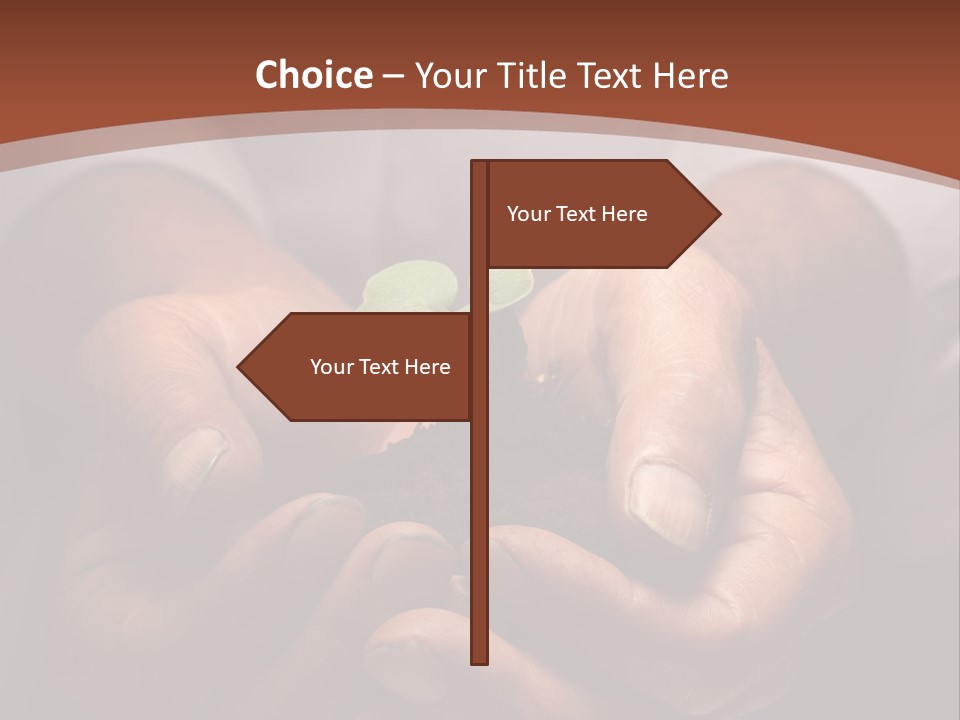 Spring Seedling Gardening PowerPoint Template