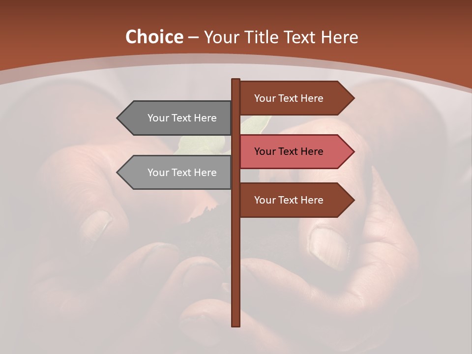 Spring Seedling Gardening PowerPoint Template