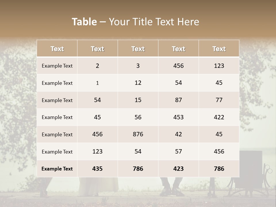 Bride Beauty Person PowerPoint Template
