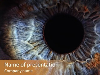 Eyeball Glance Sight PowerPoint Template