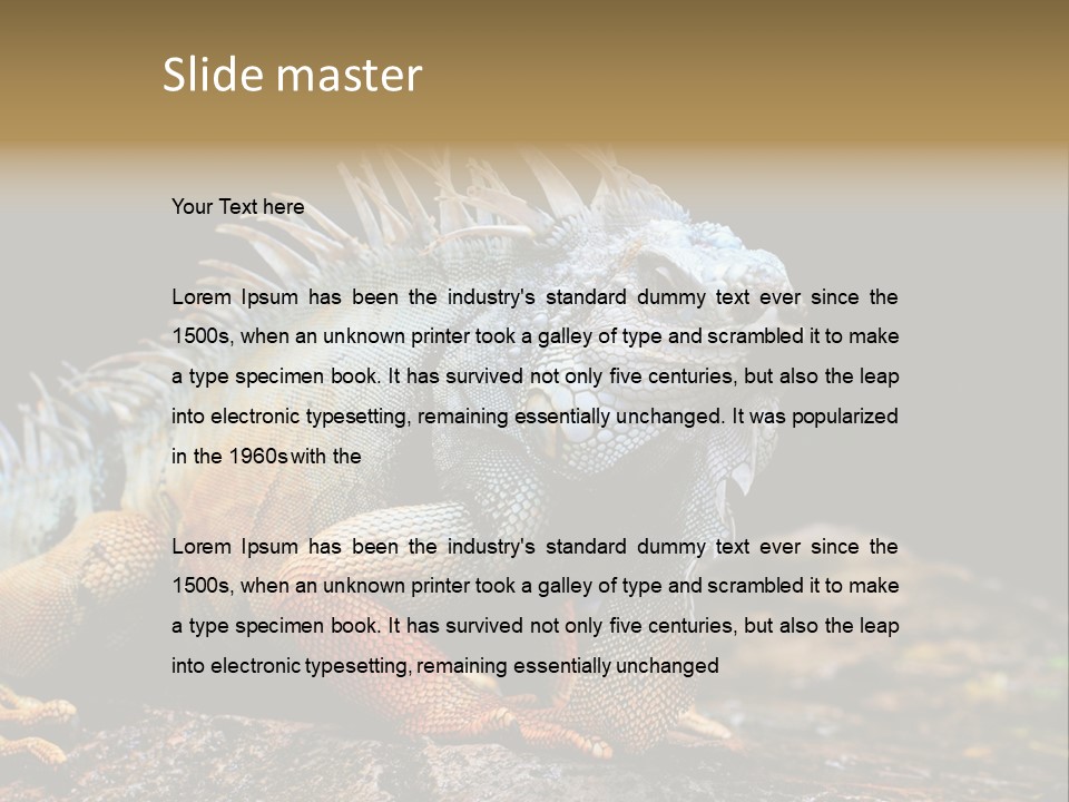 An Iguana Is Sitting On A Rock In The Sun PowerPoint Template