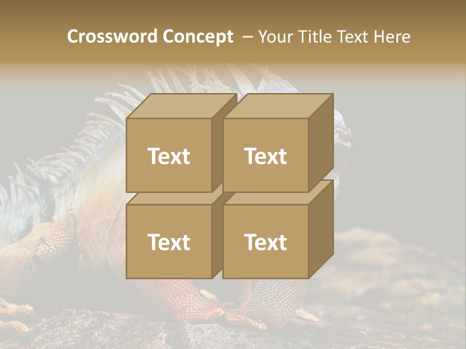 An Iguana Is Sitting On A Rock In The Sun PowerPoint Template