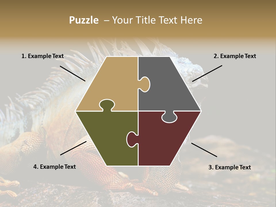 An Iguana Is Sitting On A Rock In The Sun PowerPoint Template