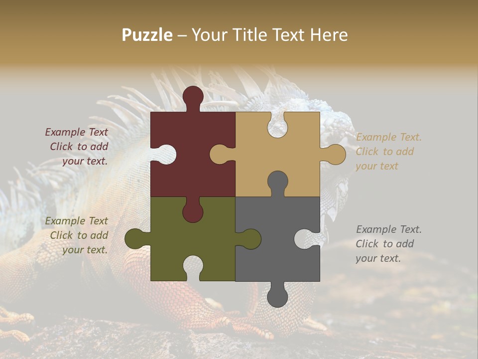 An Iguana Is Sitting On A Rock In The Sun PowerPoint Template