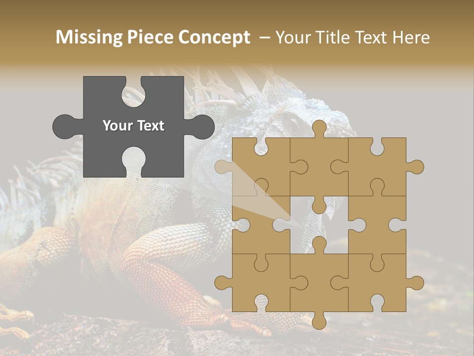 An Iguana Is Sitting On A Rock In The Sun PowerPoint Template