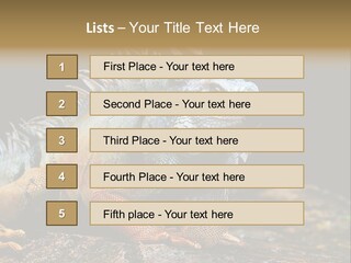 An Iguana Is Sitting On A Rock In The Sun PowerPoint Template