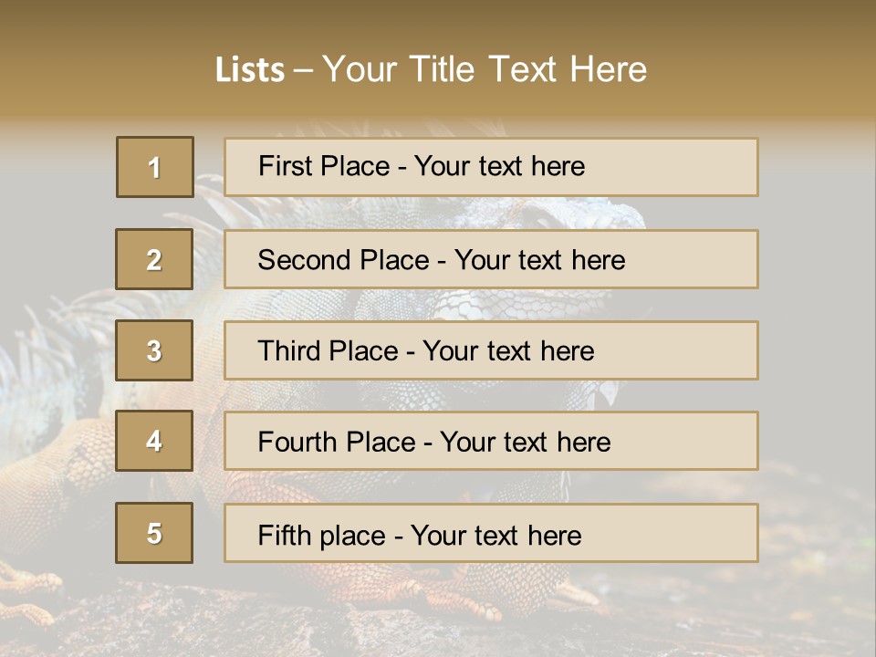 An Iguana Is Sitting On A Rock In The Sun PowerPoint Template