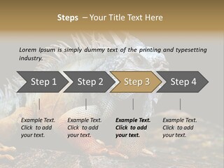 An Iguana Is Sitting On A Rock In The Sun PowerPoint Template