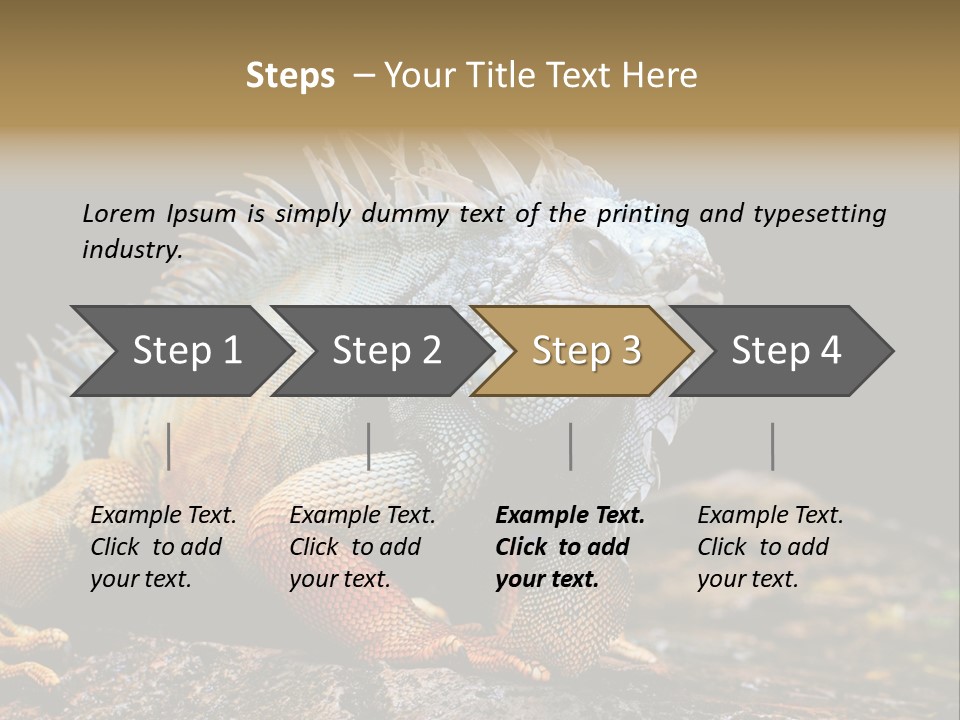 An Iguana Is Sitting On A Rock In The Sun PowerPoint Template