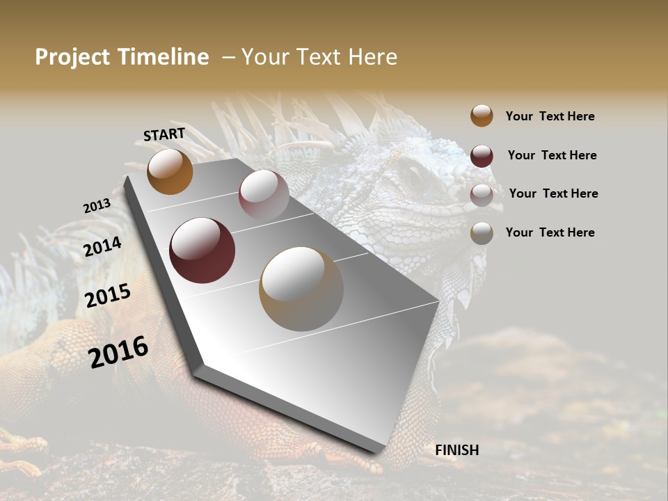 An Iguana Is Sitting On A Rock In The Sun PowerPoint Template