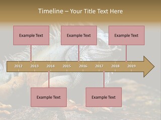 An Iguana Is Sitting On A Rock In The Sun PowerPoint Template