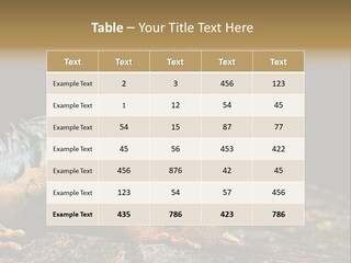 An Iguana Is Sitting On A Rock In The Sun PowerPoint Template