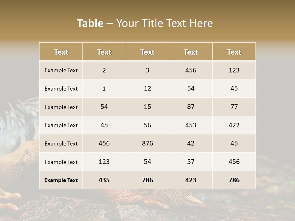 An Iguana Is Sitting On A Rock In The Sun PowerPoint Template