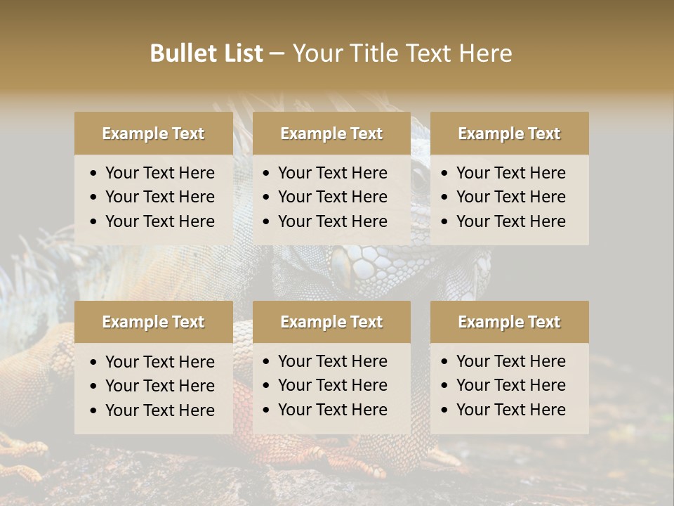 An Iguana Is Sitting On A Rock In The Sun PowerPoint Template