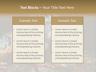 An Iguana Is Sitting On A Rock In The Sun PowerPoint Template