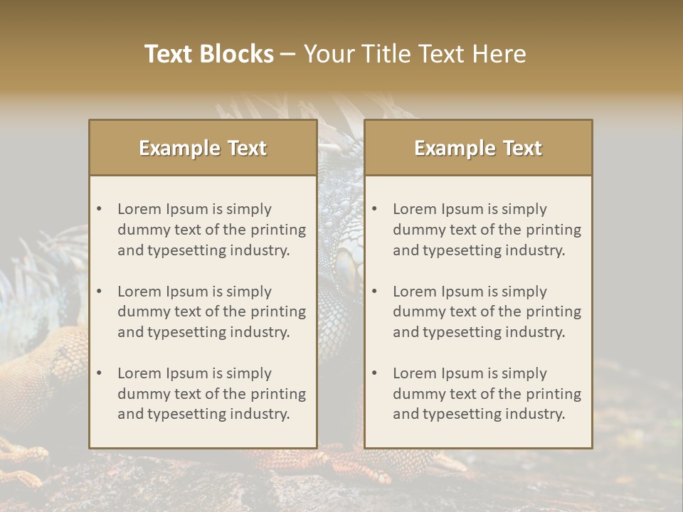An Iguana Is Sitting On A Rock In The Sun PowerPoint Template