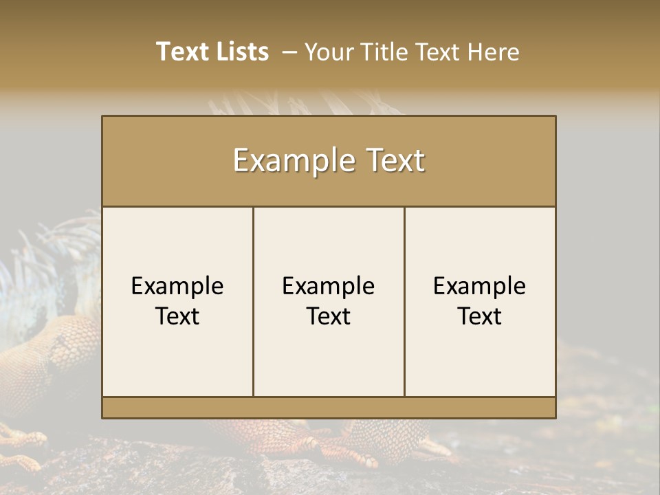 An Iguana Is Sitting On A Rock In The Sun PowerPoint Template