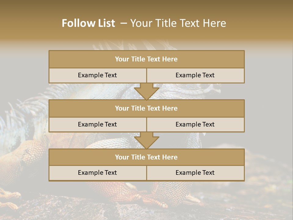 An Iguana Is Sitting On A Rock In The Sun PowerPoint Template