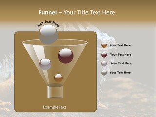 An Iguana Is Sitting On A Rock In The Sun PowerPoint Template