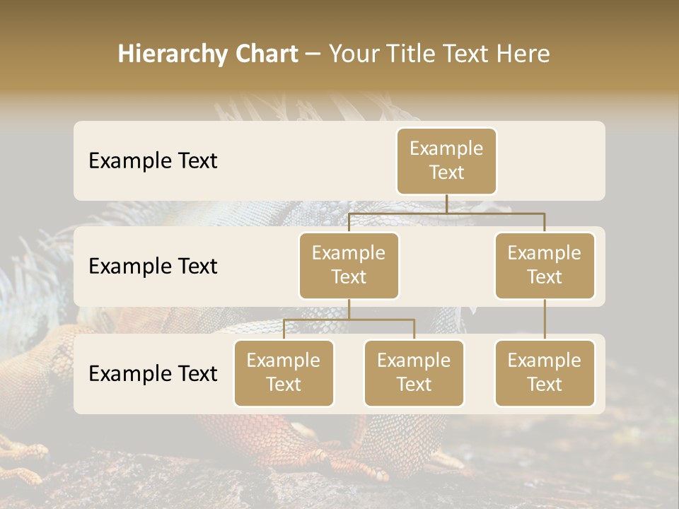 An Iguana Is Sitting On A Rock In The Sun PowerPoint Template