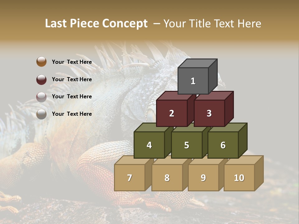 An Iguana Is Sitting On A Rock In The Sun PowerPoint Template