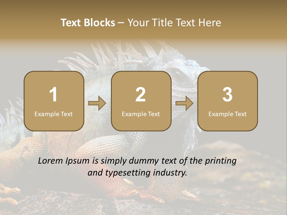 An Iguana Is Sitting On A Rock In The Sun PowerPoint Template