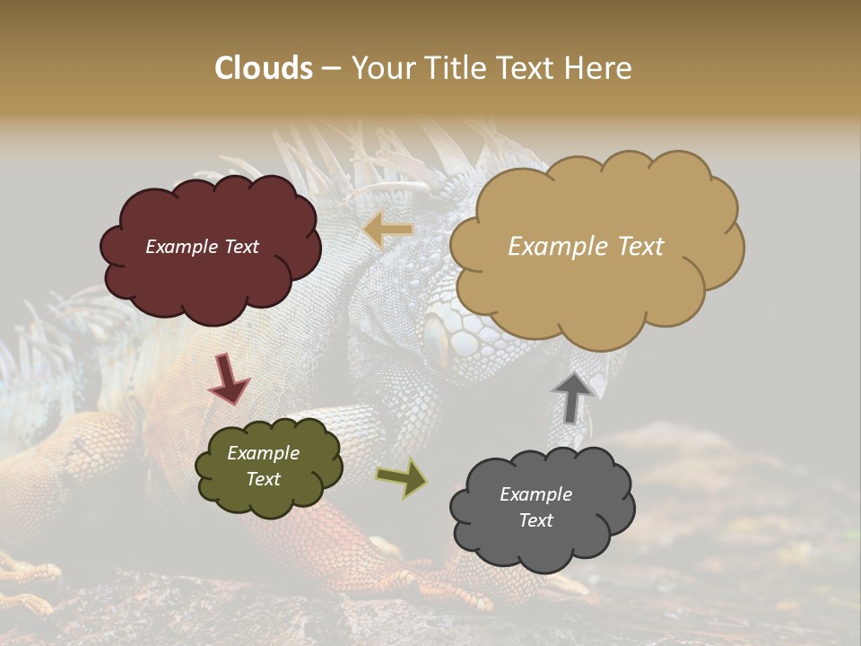 An Iguana Is Sitting On A Rock In The Sun PowerPoint Template