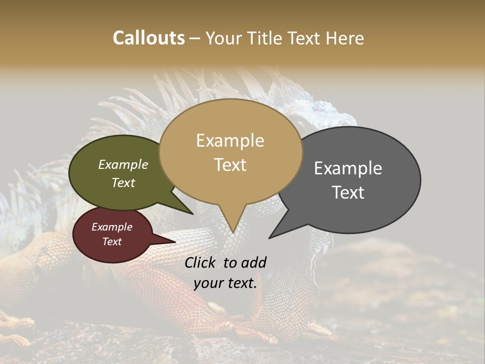 An Iguana Is Sitting On A Rock In The Sun PowerPoint Template