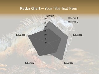 An Iguana Is Sitting On A Rock In The Sun PowerPoint Template