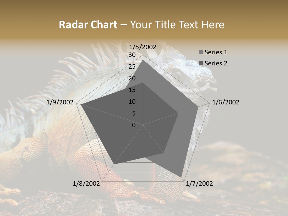 An Iguana Is Sitting On A Rock In The Sun PowerPoint Template