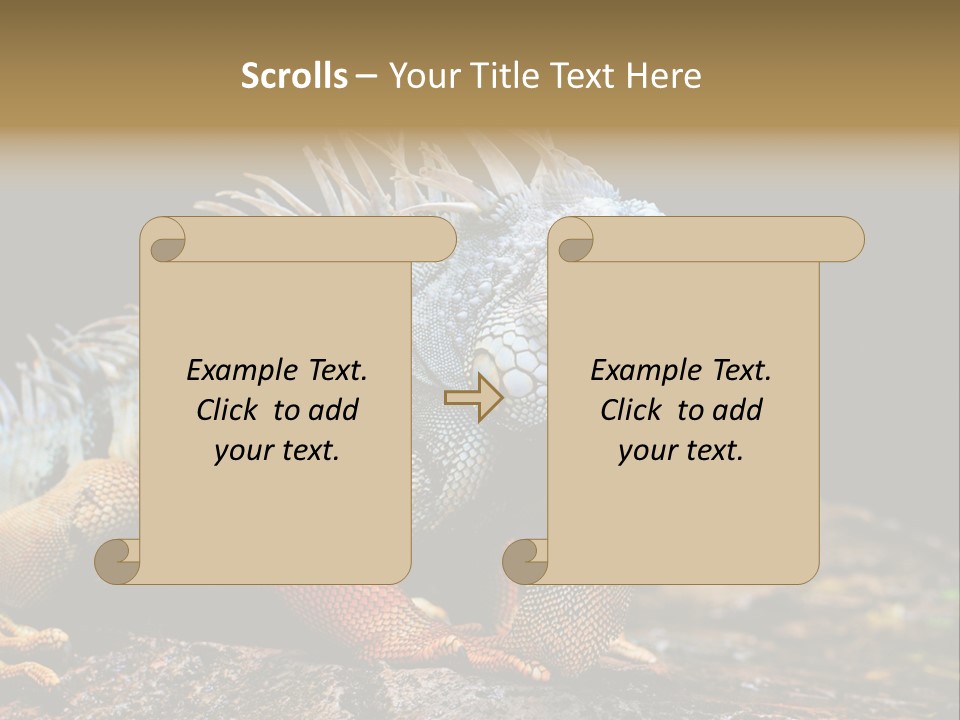 An Iguana Is Sitting On A Rock In The Sun PowerPoint Template