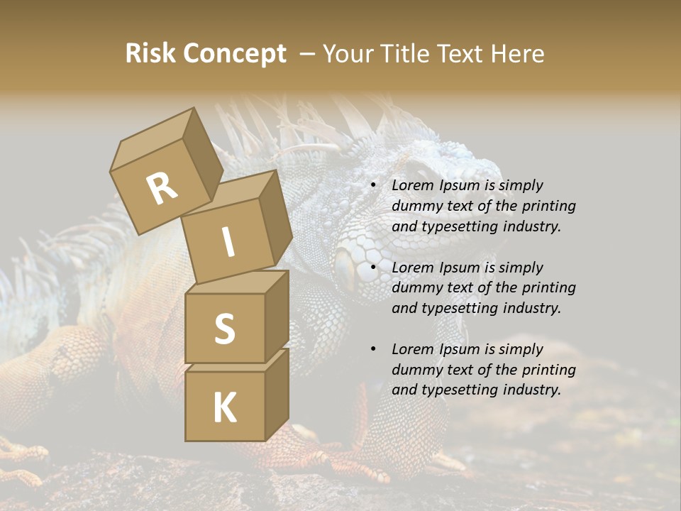 An Iguana Is Sitting On A Rock In The Sun PowerPoint Template