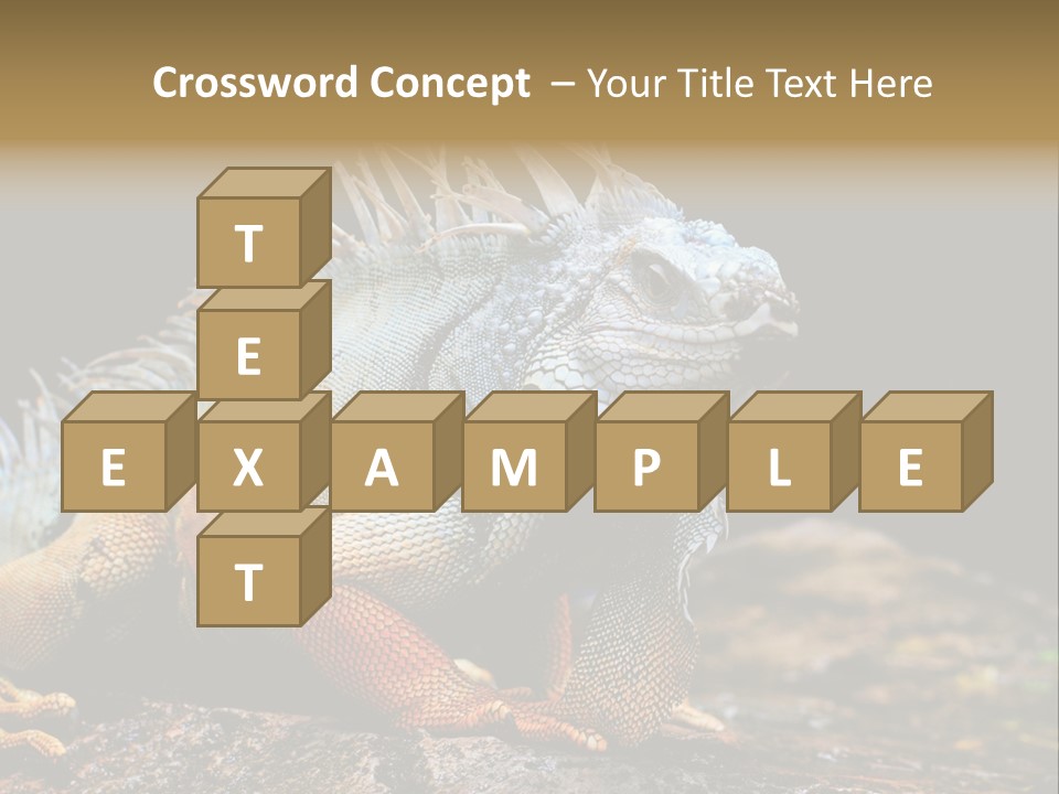 An Iguana Is Sitting On A Rock In The Sun PowerPoint Template