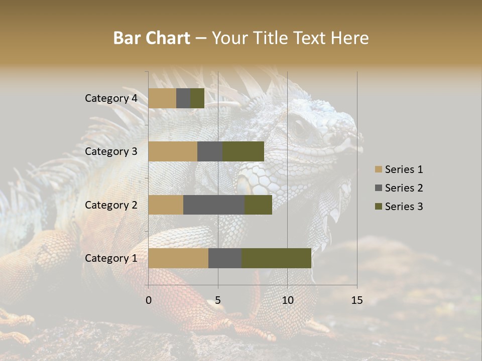 An Iguana Is Sitting On A Rock In The Sun PowerPoint Template
