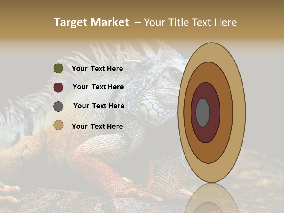 An Iguana Is Sitting On A Rock In The Sun PowerPoint Template