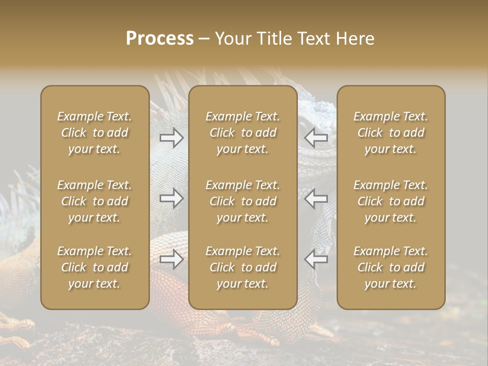 An Iguana Is Sitting On A Rock In The Sun PowerPoint Template