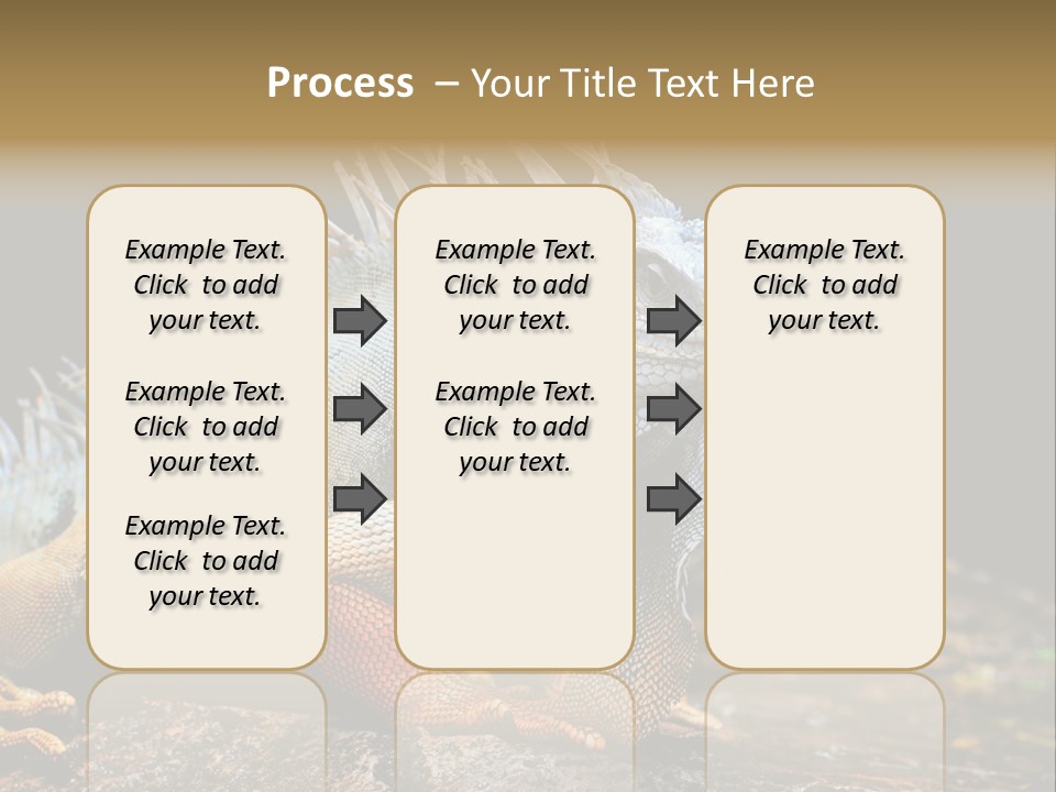 An Iguana Is Sitting On A Rock In The Sun PowerPoint Template