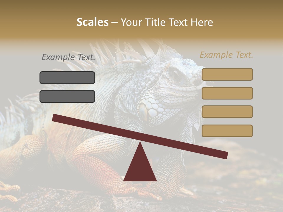 An Iguana Is Sitting On A Rock In The Sun PowerPoint Template