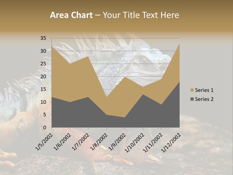 An Iguana Is Sitting On A Rock In The Sun PowerPoint Template