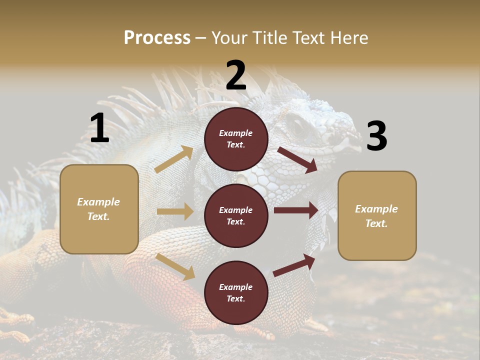 An Iguana Is Sitting On A Rock In The Sun PowerPoint Template